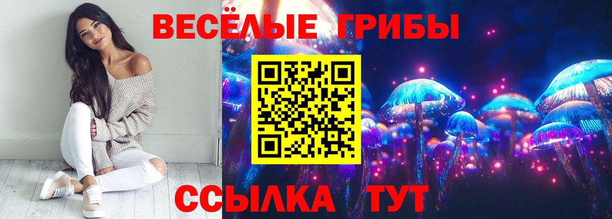 Кунгур  где купить наркотик  Вход с VPN  Псилоцибиновые грибы мухоморы 